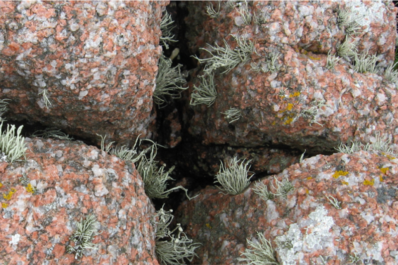 Stunning Geological Event 25 Meter Fault Opens In Seconds - tg2z0b5