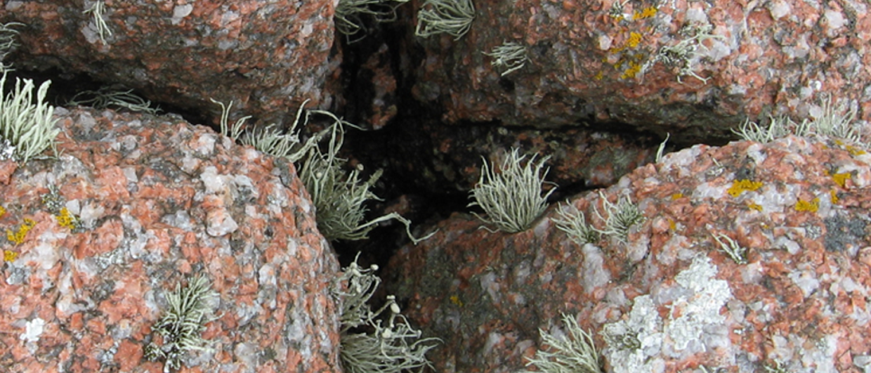 Fracture connectivity and power laws