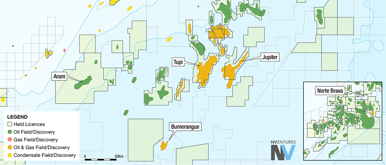 Wildcat activity in the Latin American Atlantic Margin