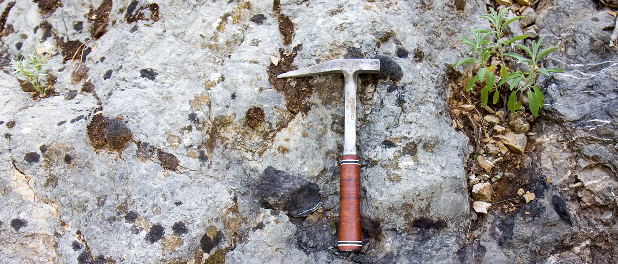 The forgotten science