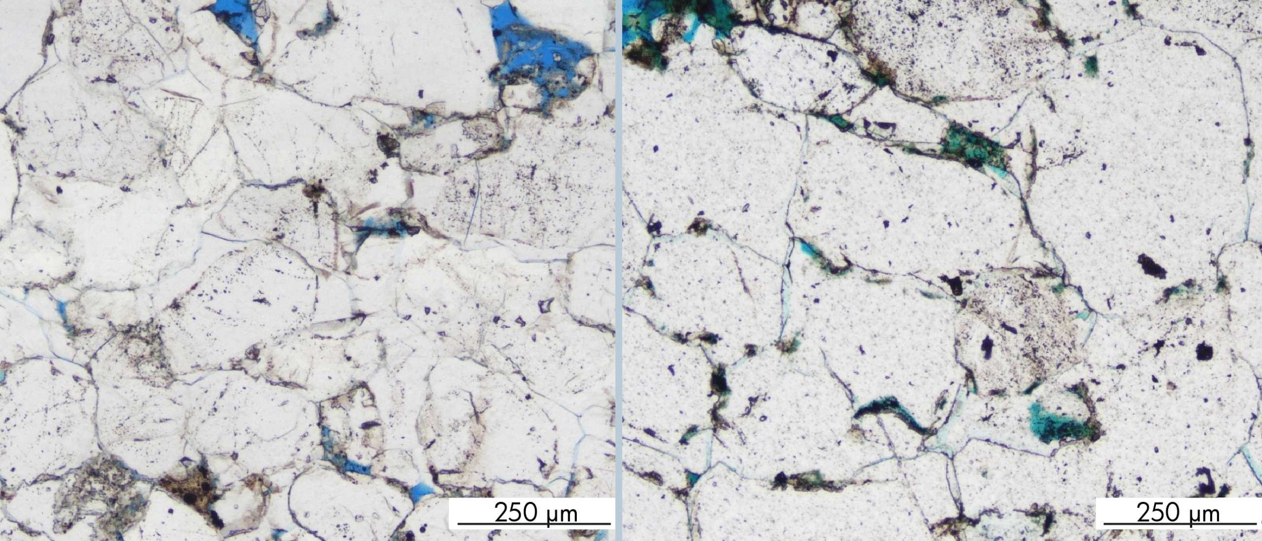Does oil really stop diagenesis?