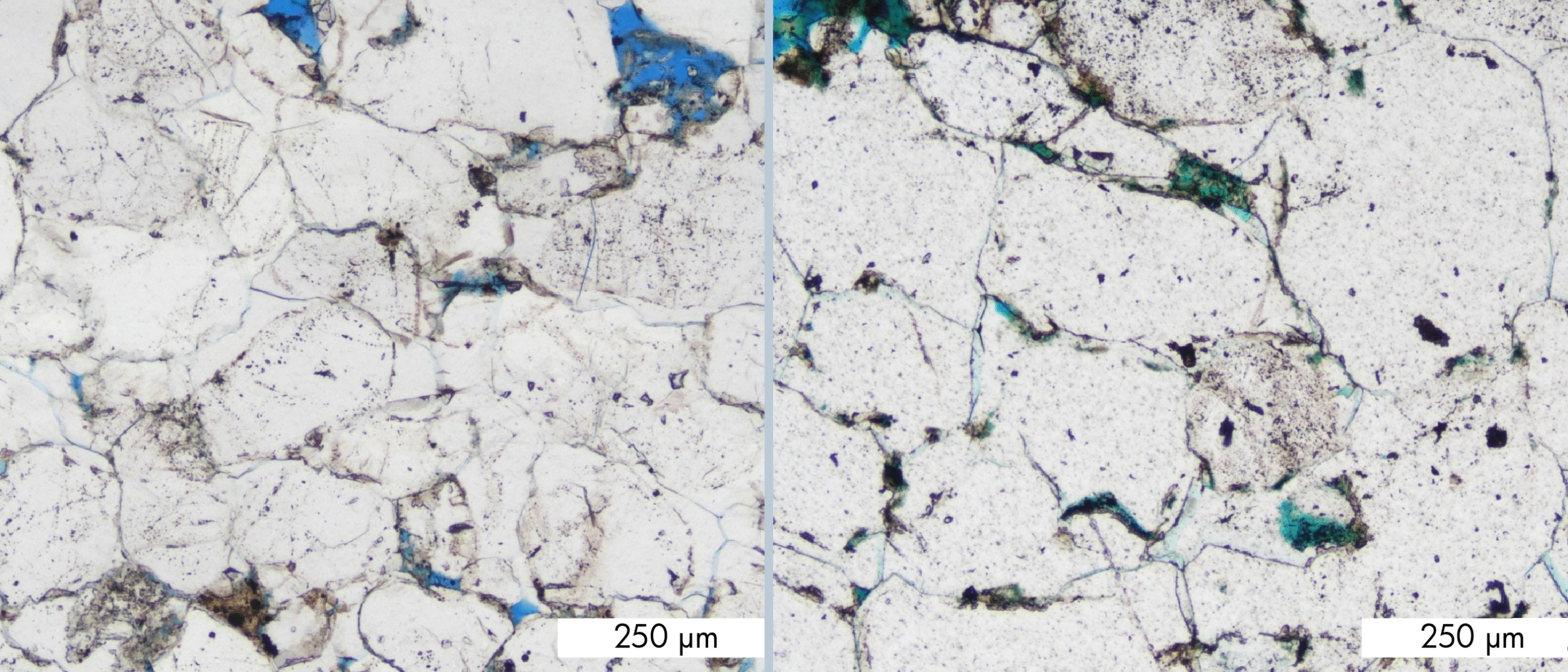 Does oil really stop diagenesis?