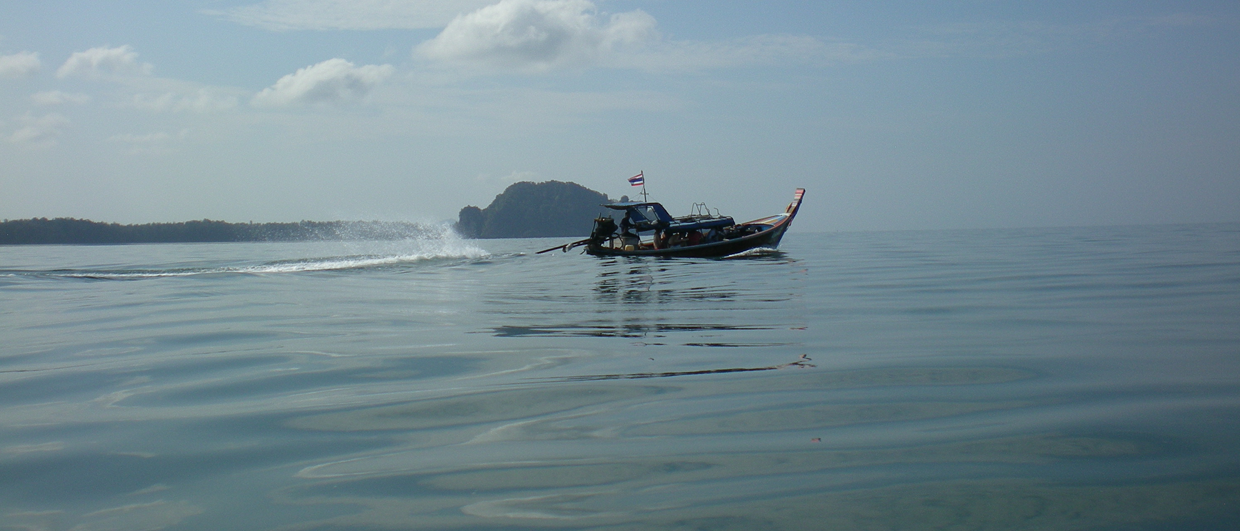 One licence, one basin