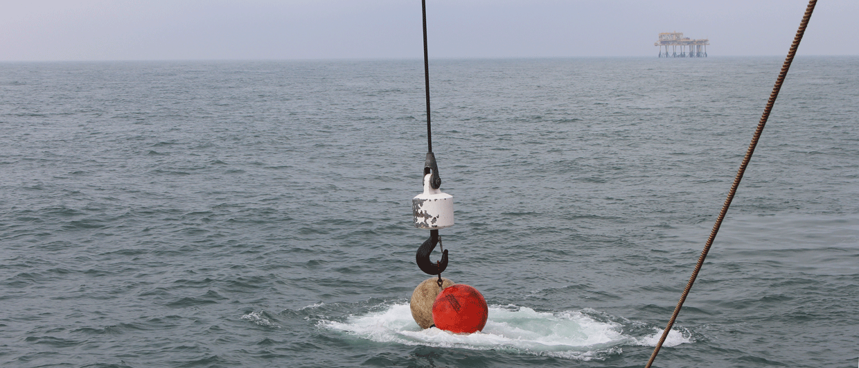 “In one year, we lost two years”