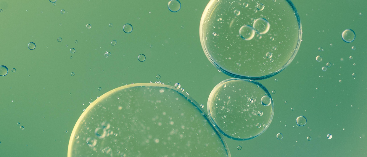 Why dual-phase systems demand a new assessment approach