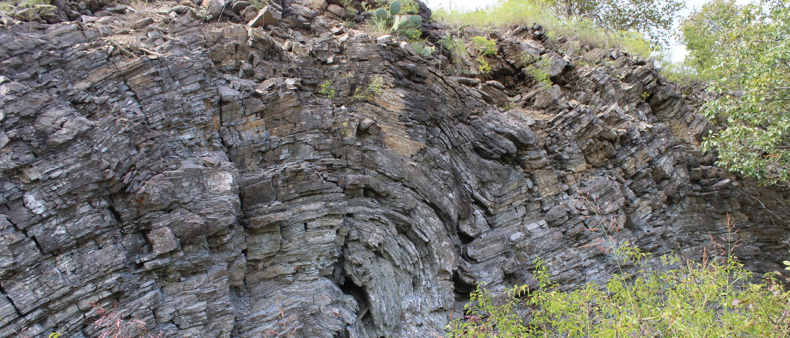 Know your faulted folds