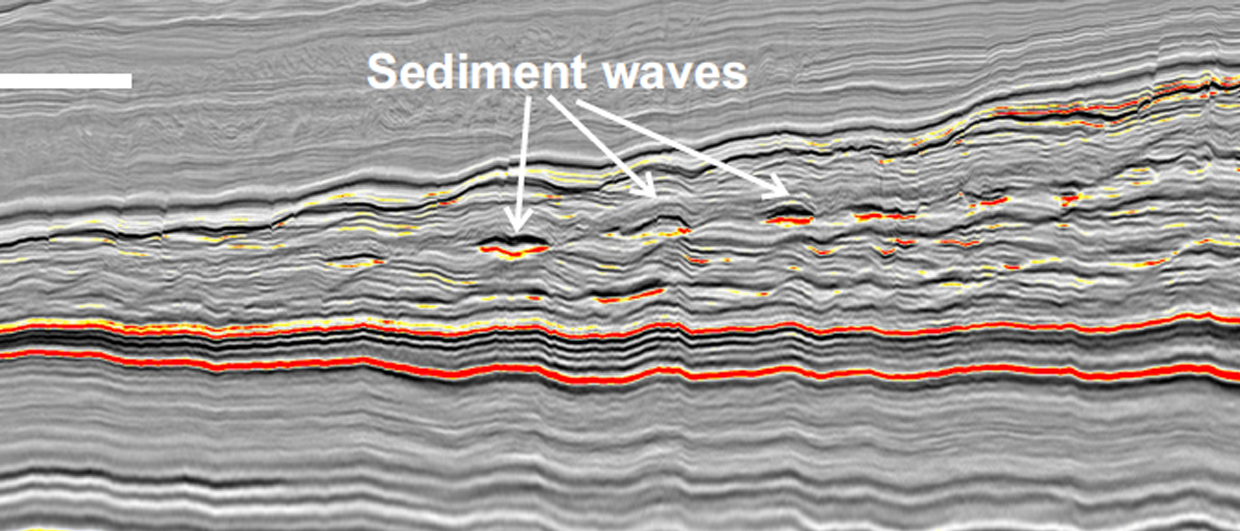 The sediment waves of Sangomar
